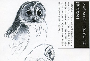 2005後期DM