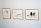 企画展の様子
